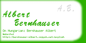 albert bernhauser business card